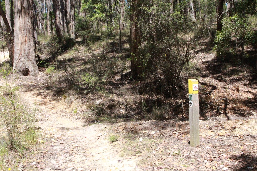 Slaty Creek Picnic Ground no3 | campground | Wrights Gully Rd, Cabbage Tree VIC 3364, Australia