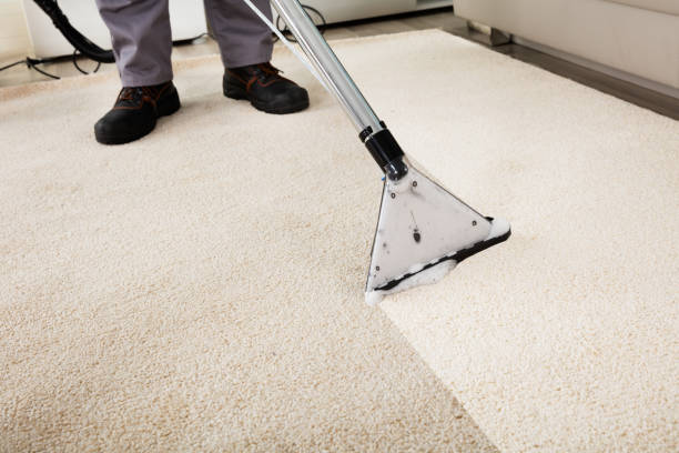 Wow Carpet Cleaning Brisbane | 4/333 Ann St, Brisbane City QLD 4000, Australia | Phone: 07 3184 4008