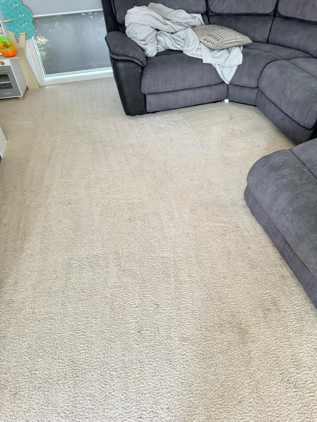 Ozzy Carpet Cleaning | 22 Gibson Way, Maddingley VIC 3340, Australia | Phone: 0406 852 749