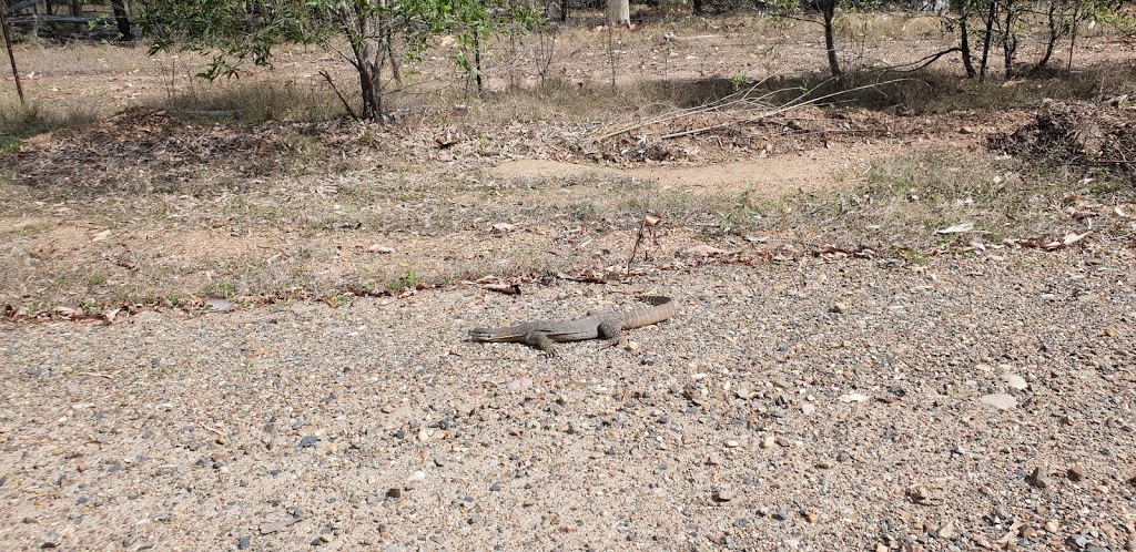 Cordalba National Park | park | Duingal QLD 4671, Australia