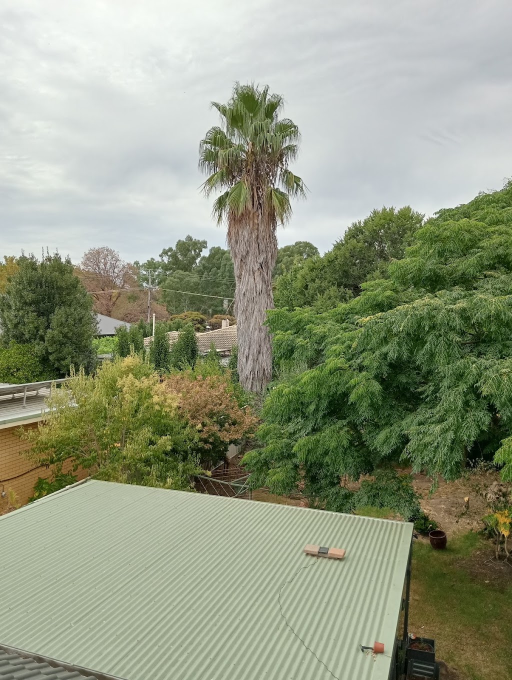 Mad CDs | Benson St, Benalla VIC 3672, Australia | Phone: (03) 5762 5490