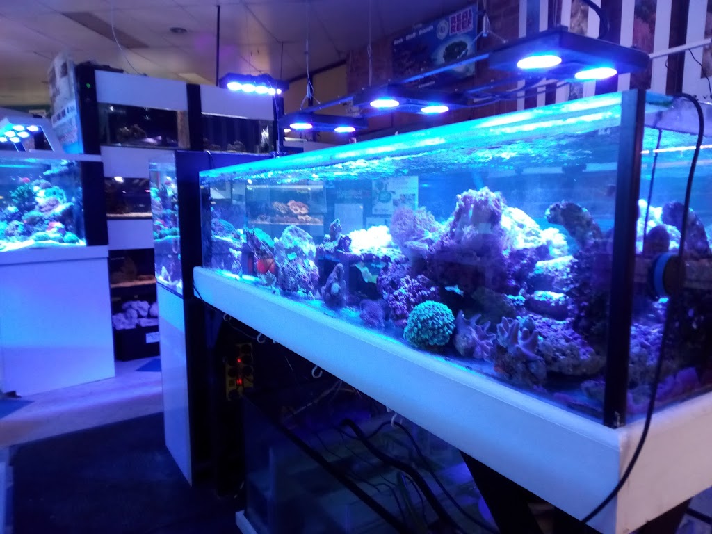 Bunarong Aquarium | 2/3 Overport Rd, Frankston VIC 3199, Australia | Phone: (03) 9783 6083