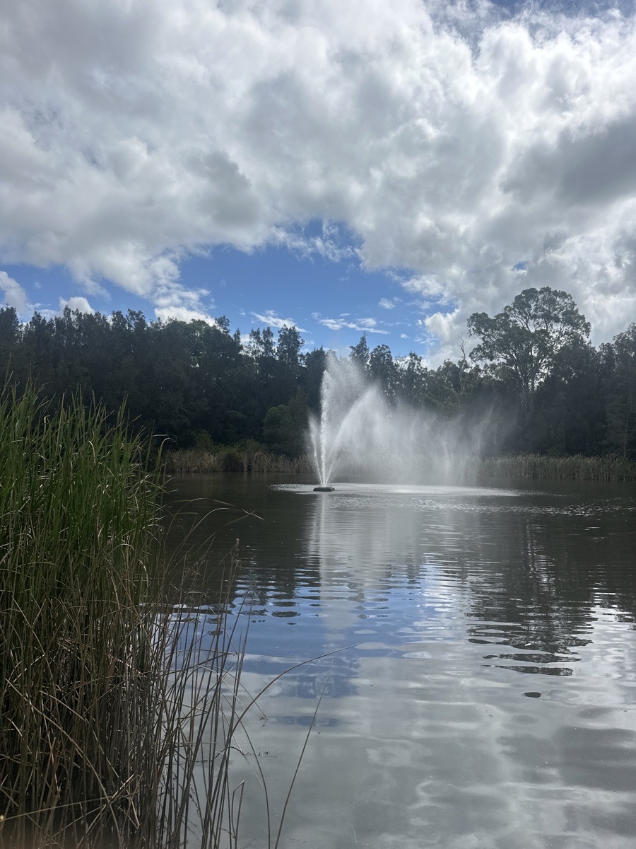 Total Alcott pumps and servicing | 67 Hansens Rd, Minto Heights NSW 2566, Australia | Phone: (02) 9603 5735