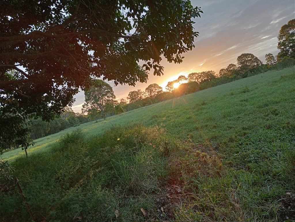 Goldhayven Farm | 74 Danyenah St, Loganholme QLD 4129, Australia | Phone: 0411 571 542