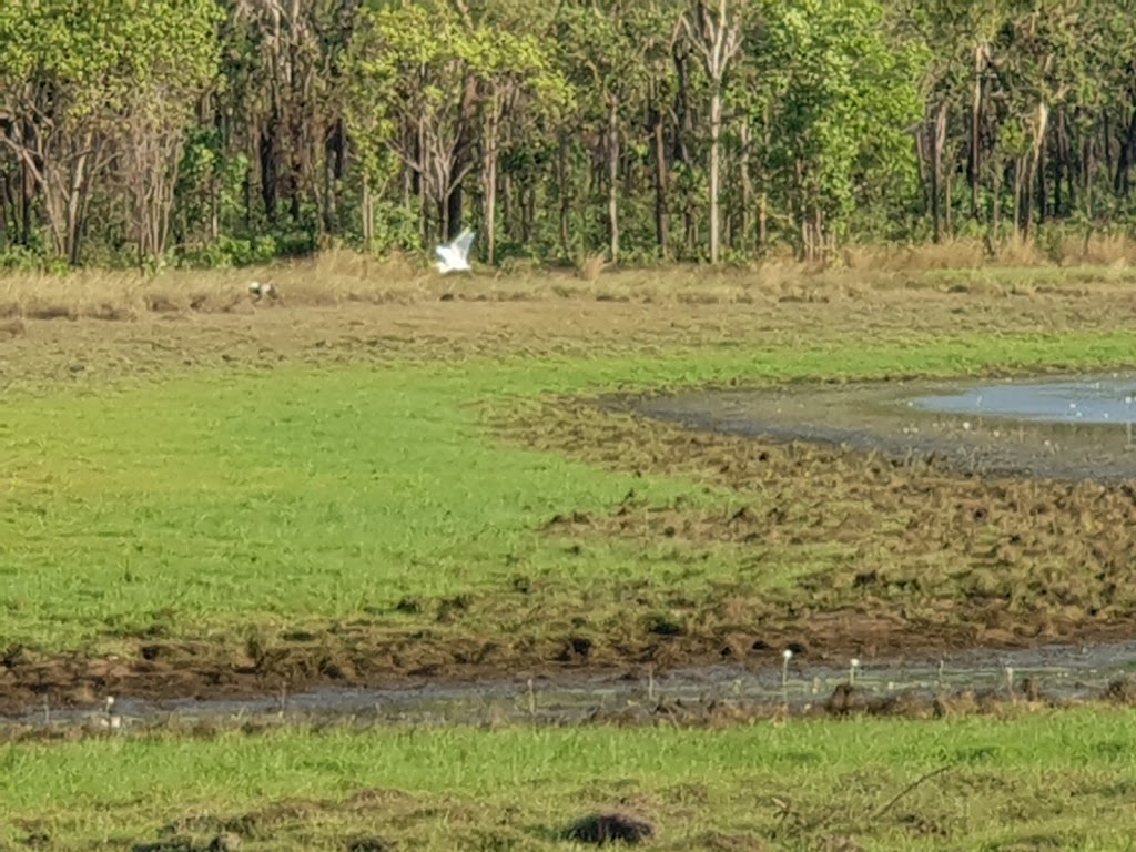 Leaning Tree Lagoon Nature Park | park | 1090 Arnhem Hwy, Marrakai NT 0822, Australia