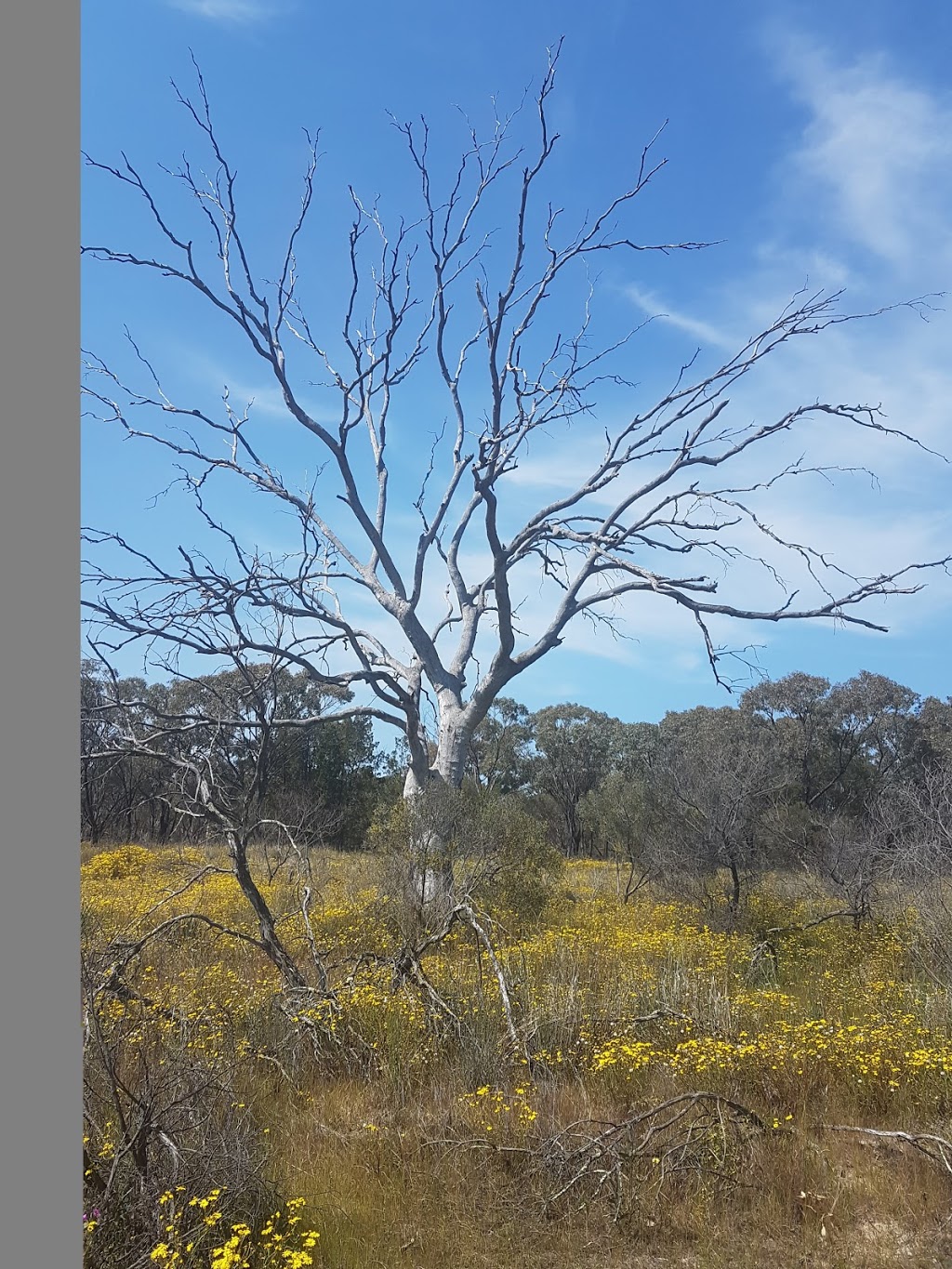 Lake Hindmarsh Lake Reserve | Jeparit VIC 3423, Australia