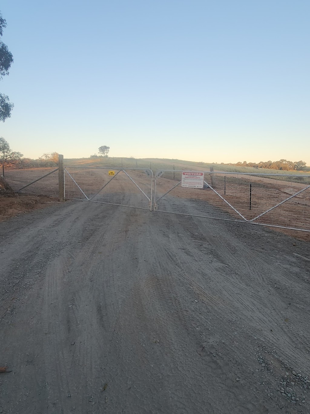 Clan of 6 Roses | Lot 2 Sugarloaf Rd, Rhymney VIC 3377, Australia | Phone: 0451 553 122