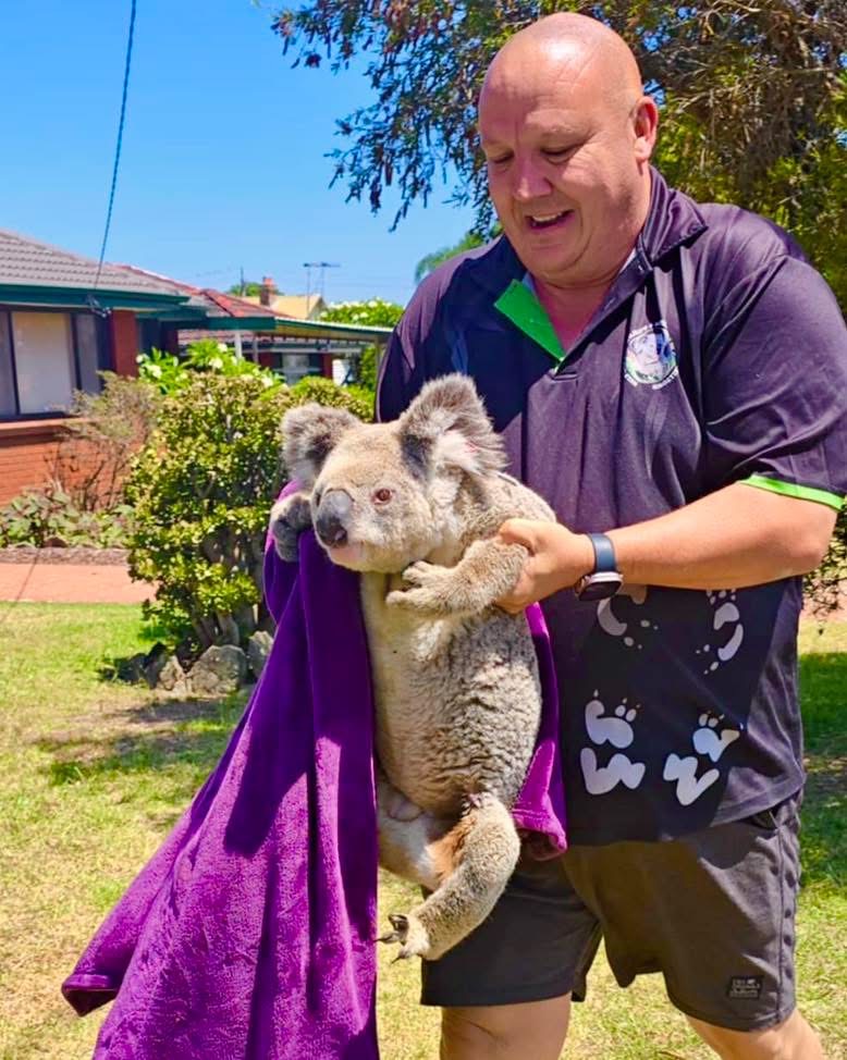 Help Save The Wildlife And Bushlands In Campbelltown | nymboida cres, Ruse NSW 2560, Australia | Phone: 0434 026 799