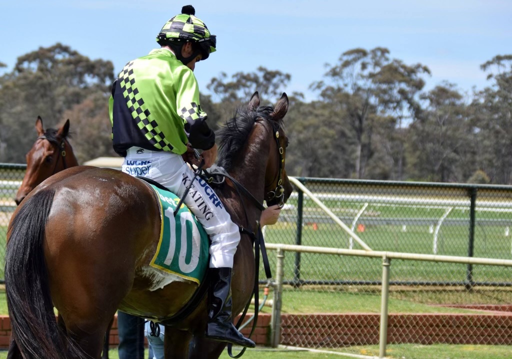 Erin Maher Racing | 32 Racecourse Rd, Ascot VIC 3551, Australia | Phone: 0438 800 975