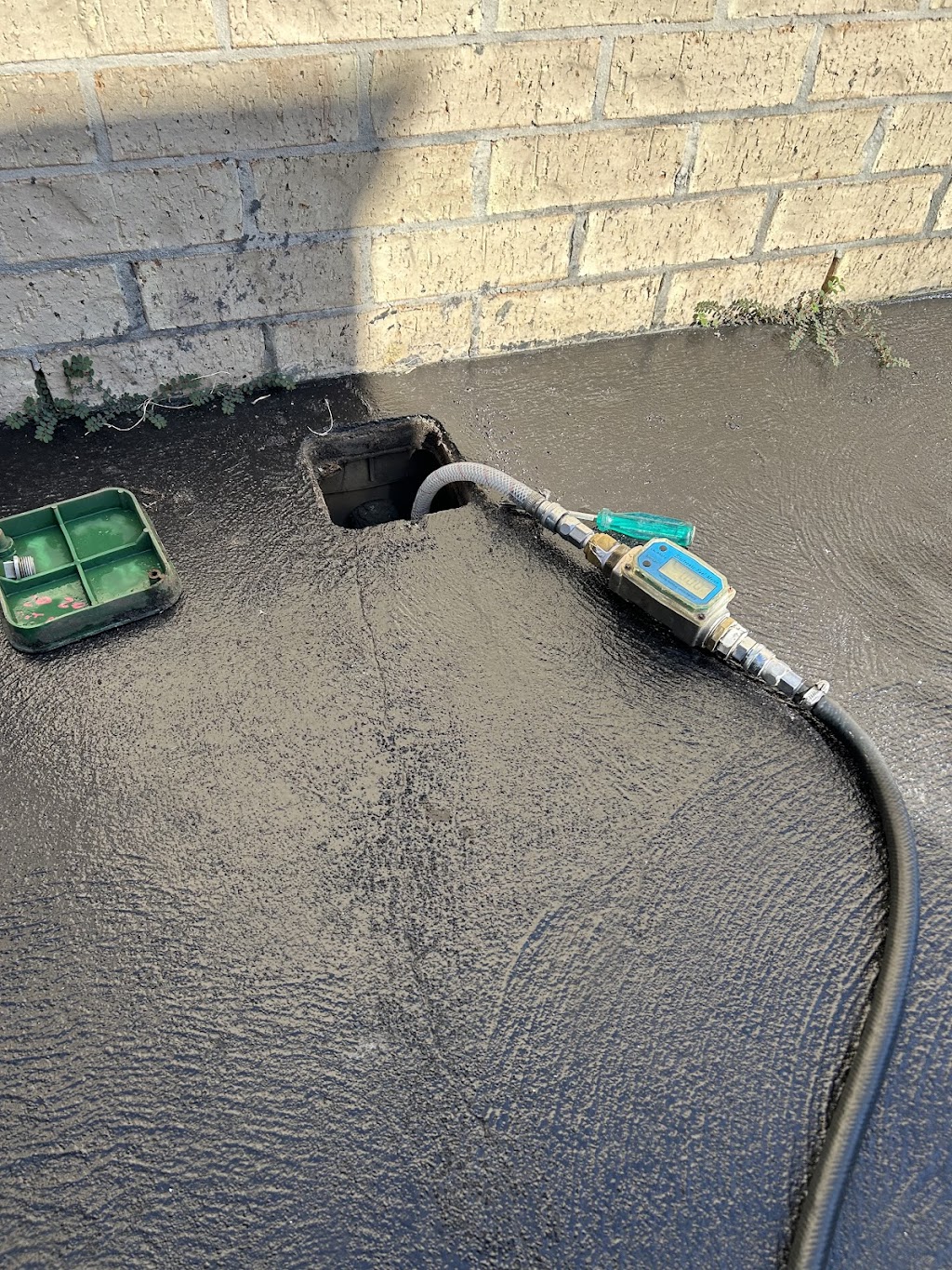 Julian Davidson Pest Management | 52 Pacific Dr, Swansea Heads NSW 2281, Australia | Phone: 0449 171 209