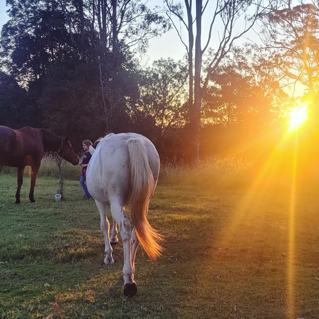 Okey Dokey Farm | Visit by appointment only. Please message to arrange, 144 Flood Reserve Rd, Ruthven NSW 2480, Australia | Phone: 0418 770 508