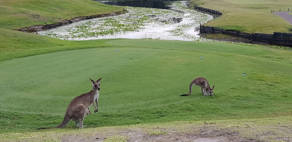 Horizons Golf Resort | Horizons Dr, Salamander Bay NSW 2317, Australia | Phone: (02) 4982 0474