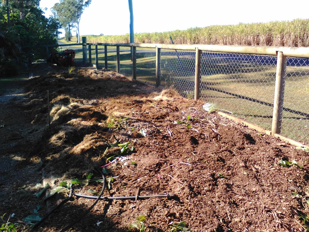 Stump Grinding by Nodez | park | 81 Neil Rd, Maryborough West QLD 4650, Australia | 0417761492 OR +61 417 761 492