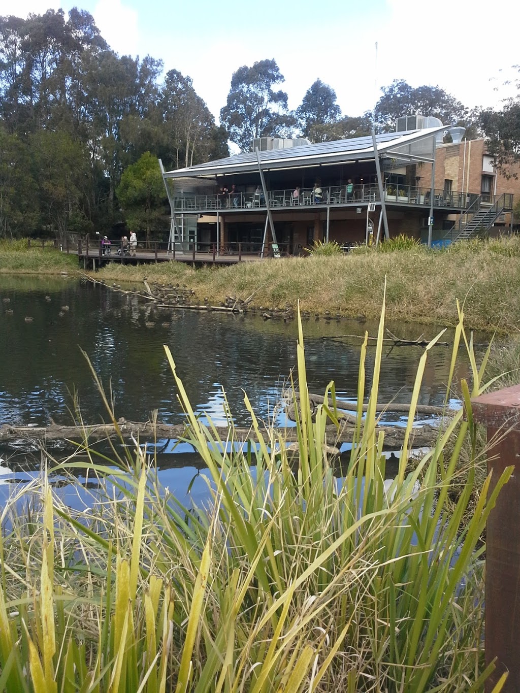 Hunter Wetlands Centre Australia | 1 Wetlands Pl, Shortland NSW 2307, Australia | Phone: (02) 4951 6466