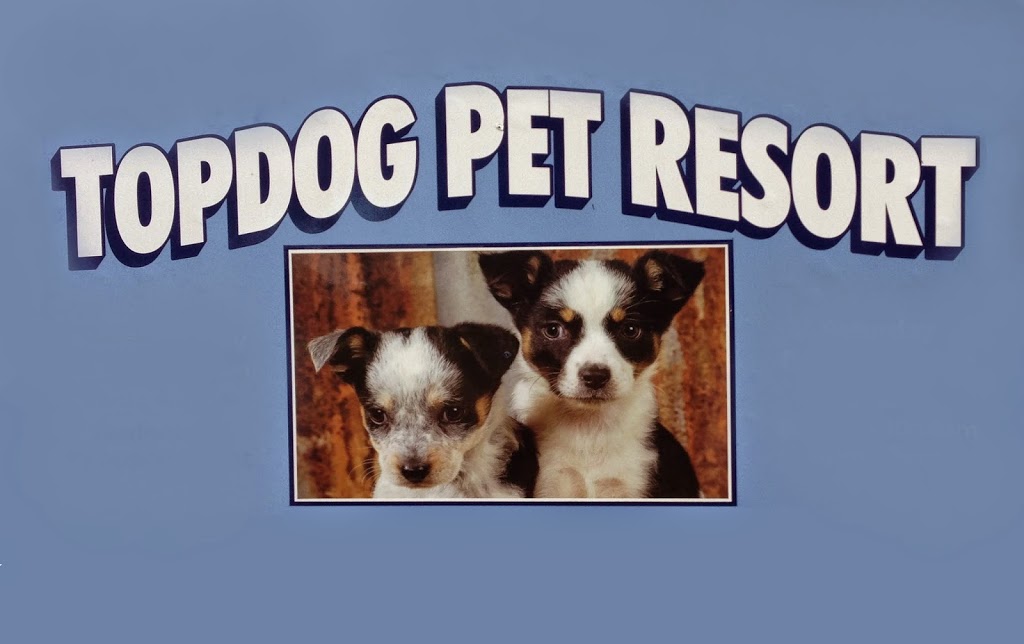 Top Dog Pet Resort And Top Cat Cattery |  | 1761 Bellarine Hwy, Marcus Hill VIC 3222, Australia | 0352513126 OR +61 3 5251 3126