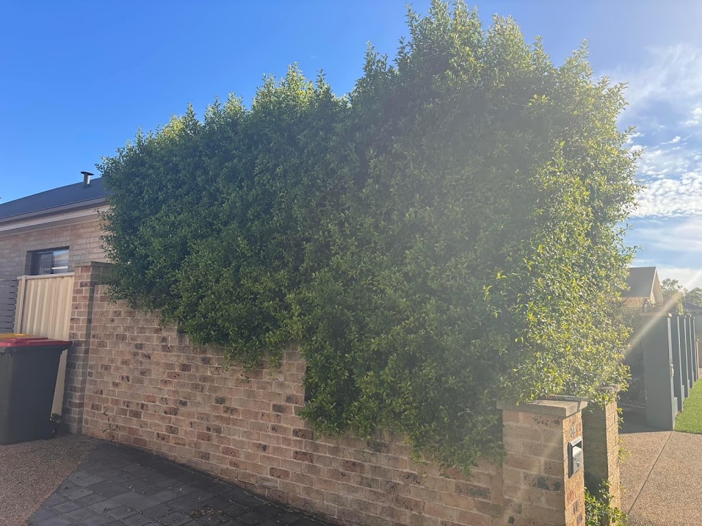 Leeton Lawn & Garden Care | 22 Currawang Ave, Leeton NSW 2705, Australia | Phone: 0448 990 397