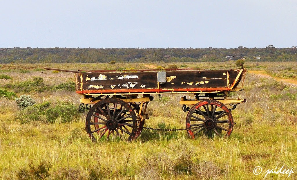 Mallyons On The Murray | PMB 51, Weston Flat, Highway 64, Waikerie SA 5330, Australia | Phone: (08) 8543 2263