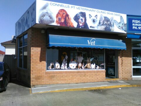 Connells Point Veterinary Clinic | veterinary care | 1/65 Connells Point Rd, South Hurstville NSW 2221, Australia | 0295465600 OR +61 2 9546 5600