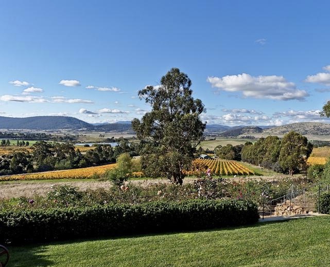 Loft Over The Vines | 112 Tolpuddle Dr, Richmond TAS 7025, Australia | Phone: 0413 597 150