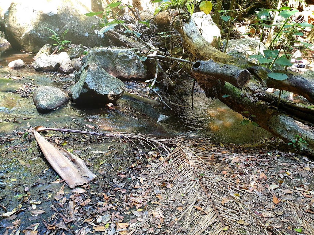 Brushbox Falls Look Out | Unnamed Rd,, Border Ranges NSW 2474, Australia