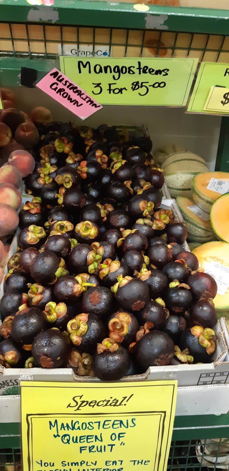 Ken Littles Fruit & Veg | store | 67 Munster St, Port Macquarie NSW 2444, Australia | 0265835685 OR +61 2 6583 5685
