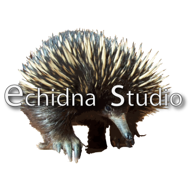Echidna Studio | 24 Wallace Rd, Christmas Hills VIC 3775, Australia | Phone: (03) 9730 1998