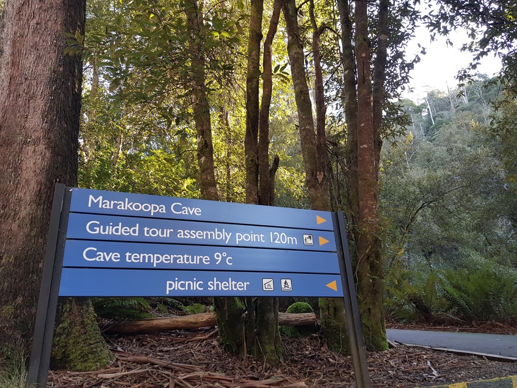 Marakoopa Cave | park | 330 Mayberry Rd, Mayberry TAS 7304, Australia | 0363635182 OR +61 3 6363 5182