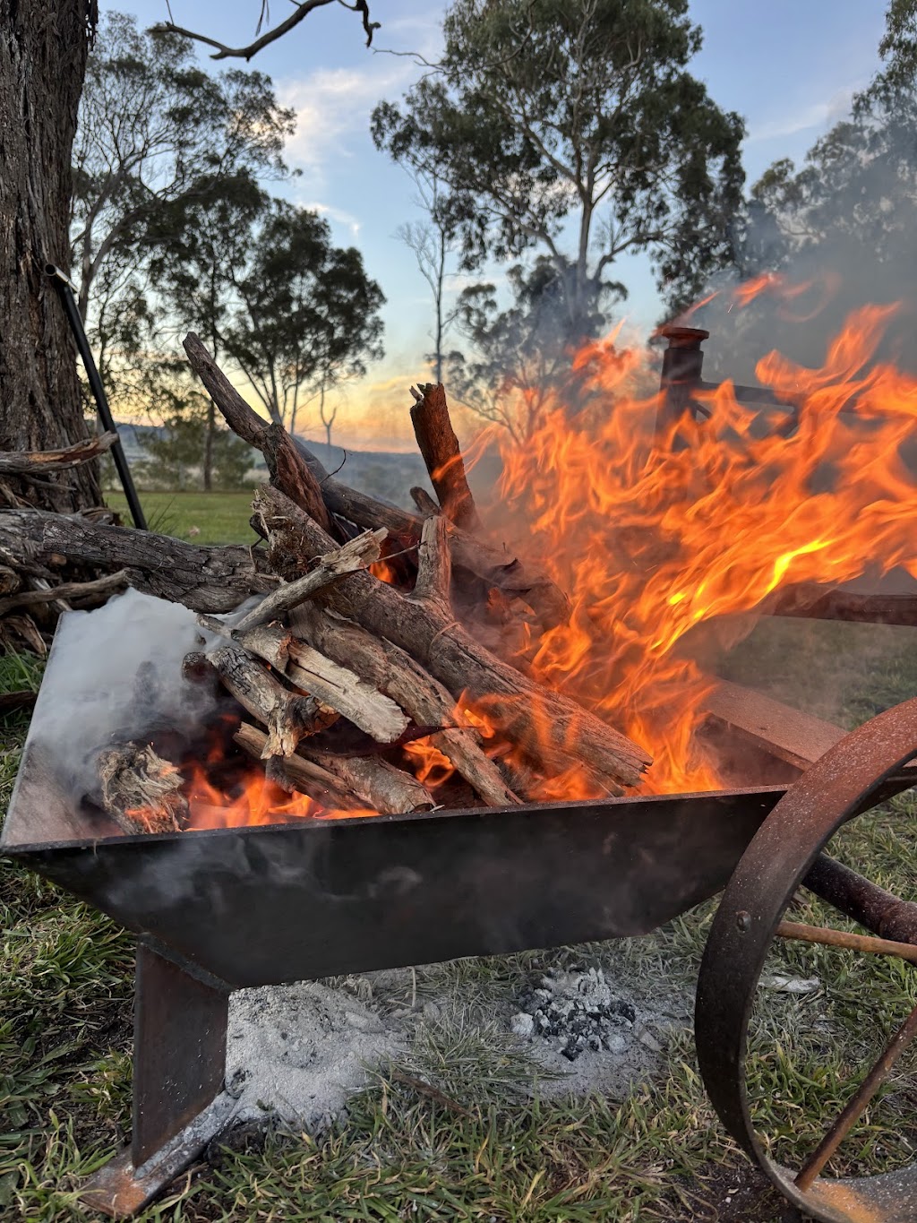Up The Top | 8447 New England Hwy, Glencoe NSW 2365, Australia | Phone: 0419 170 581
