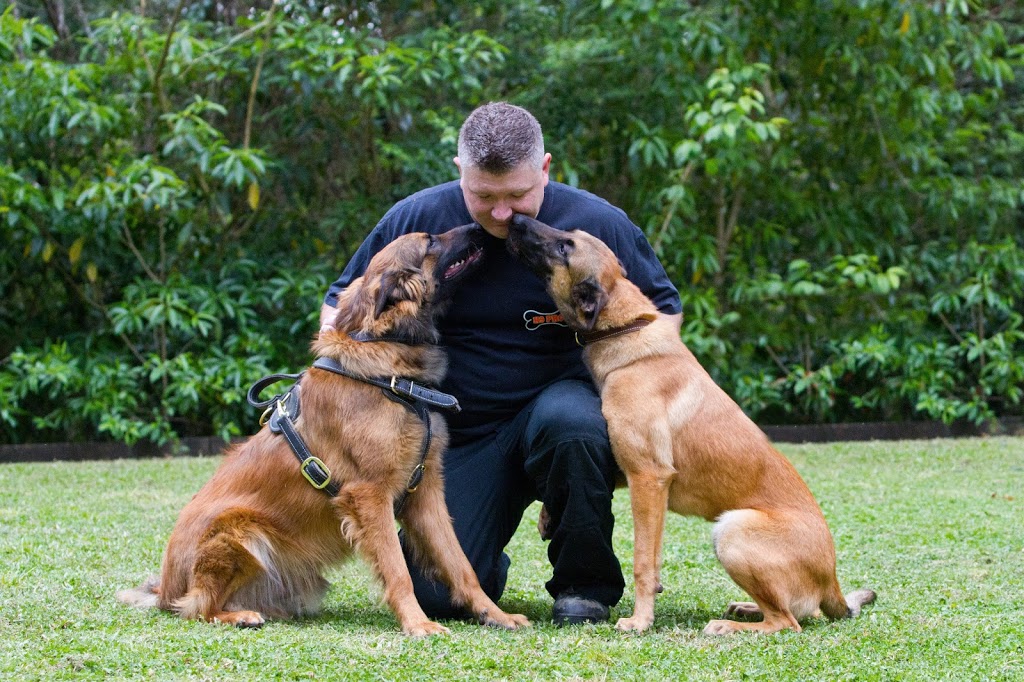 K9 Pro - The K9 Professionals | 301-307 Londonderry Rd, Londonderry NSW 2753, Australia | Phone: (02) 4578 9789