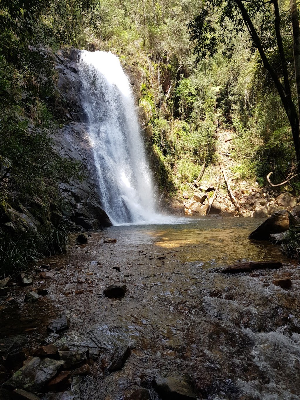 Wilsons River Nature Reserve | park | Banda Banda NSW 2446, Australia