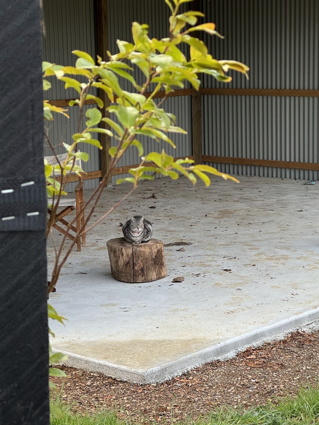 Lillico Nurture | 500 Copelands Rd, Lillico VIC 3820, Australia | Phone: 0418 372 880