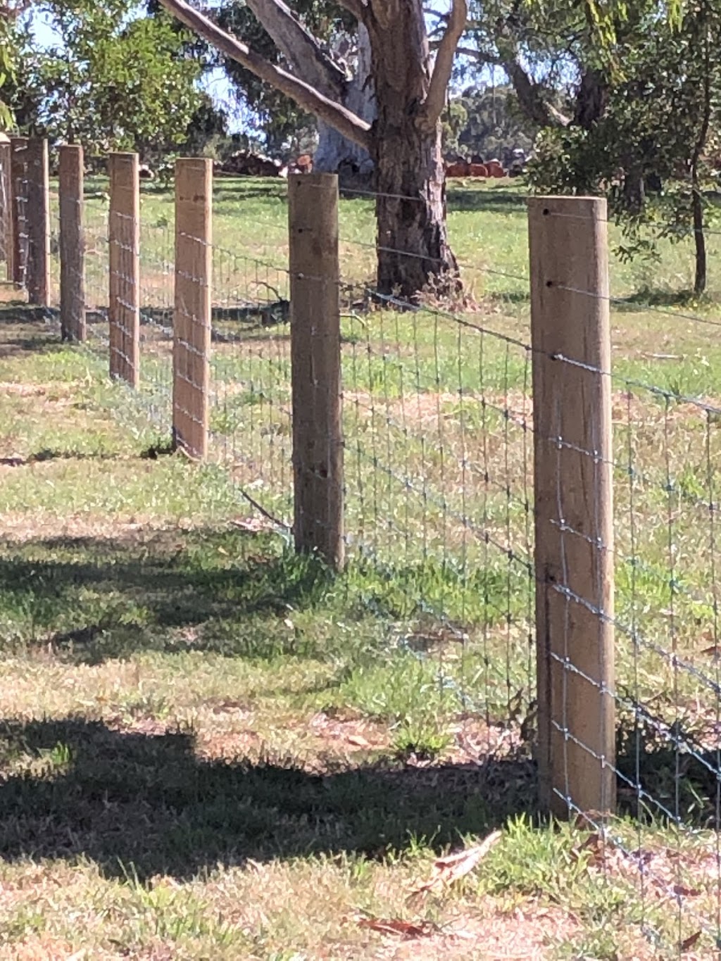 Macedon Ranges Country Timber Gates & Fencing Pty Ltd | 267 Sutherlands Rd, Riddells Creek VIC 3431, Australia | Phone: 0468 701 149