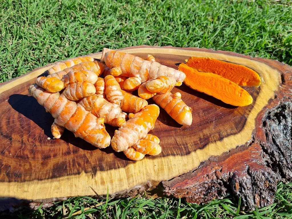 Four Bees in a Pod | Gatton QLD 4343, Australia | Phone: 0481 385 055