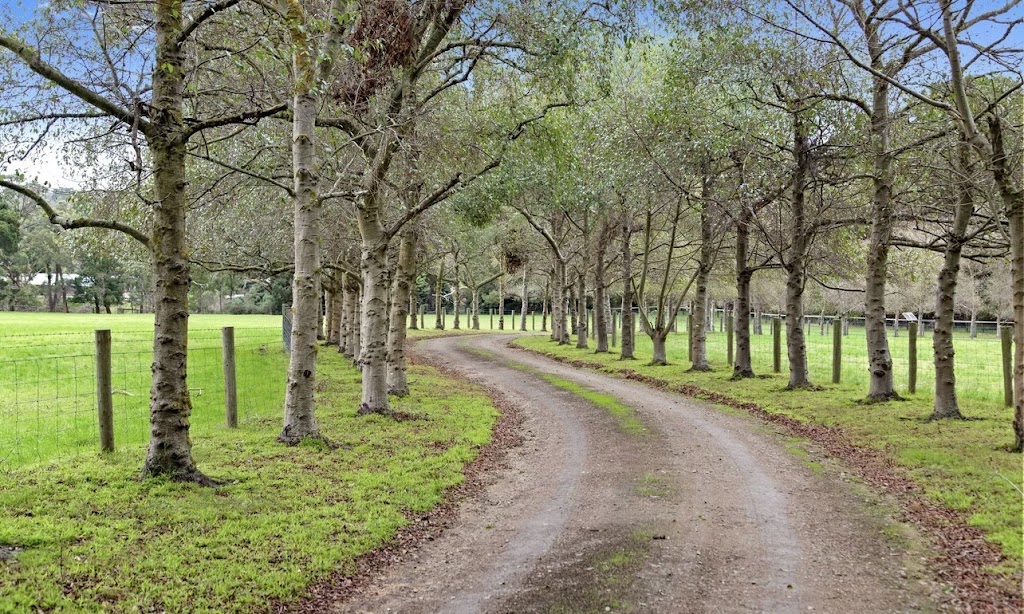 South Peninsula Stables | 177 Coolart Rd, Hastings VIC 3915, Australia | Phone: 0409 217 278
