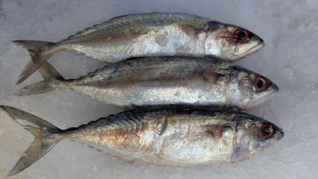 MK FRESH SEAFOODS | 32 Clark St, Colac East VIC 3250, Australia | Phone: 0456 562 061