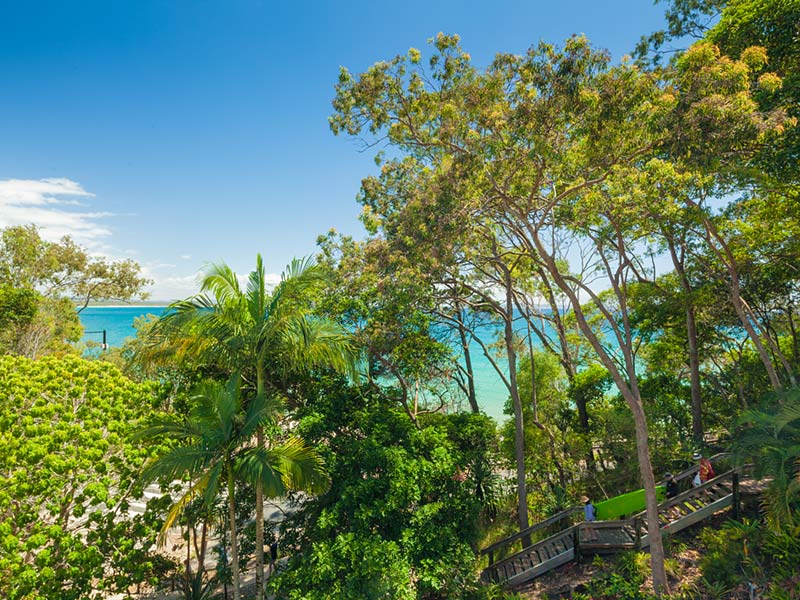 Little Cove Court | 2 Pandanus St, Noosa Heads QLD 4567, Australia | Phone: (07) 5474 8578