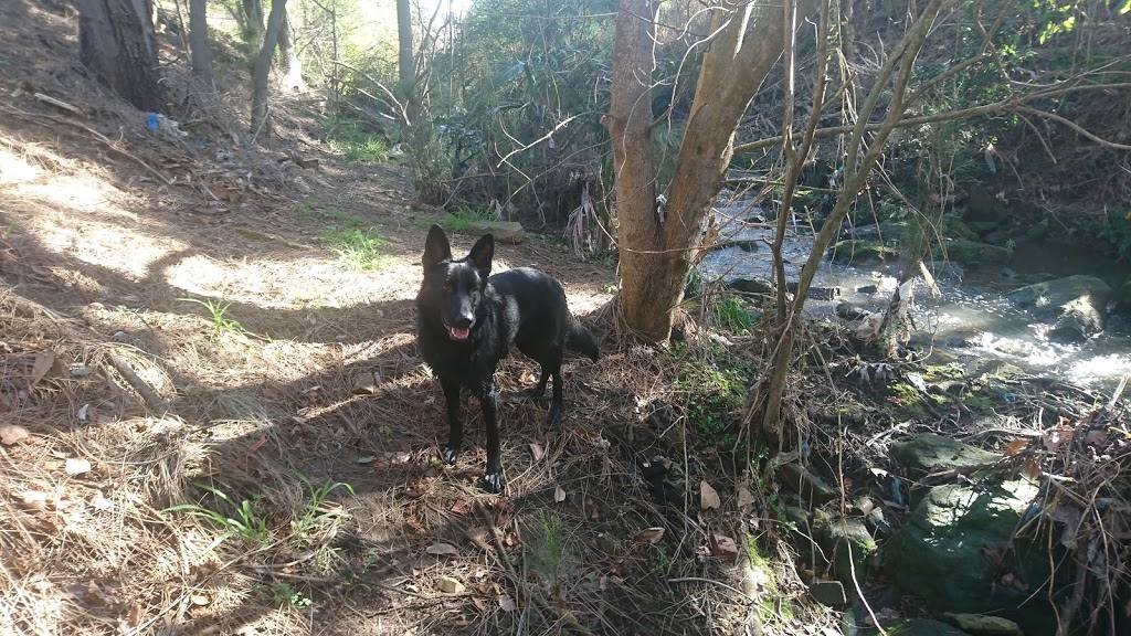 Off Leash Area | park | Bardwell Valley NSW 2207, Australia