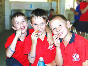 Glenview State School | school | 6 Leeding Rd, Glenview QLD 4553, Australia | 0754396777 OR +61 7 5439 6777