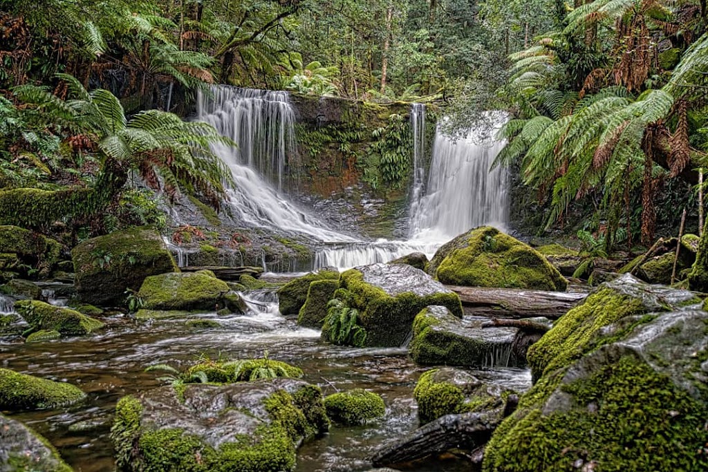 Horseshoe Falls | tourist attraction | Mount Field TAS 7140, Australia | 1300827727 OR +61 1300 827 727