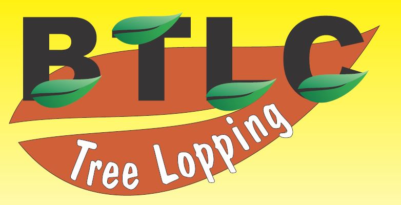 BTLC Tree Lopping | 215 Missigs Rd, Haigslea QLD 4306, Australia | Phone: 0420 252 194