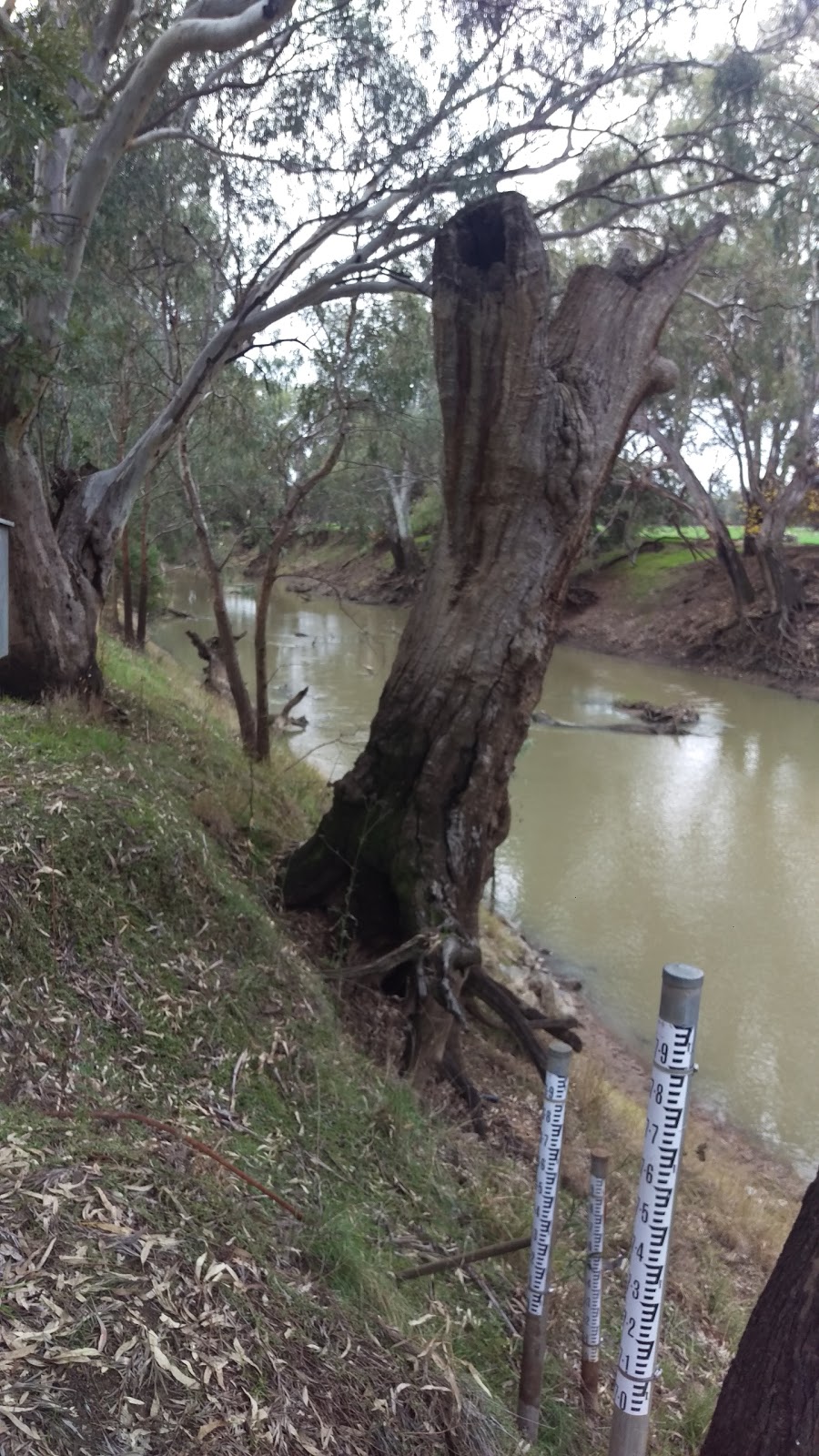 Jemalong Irrigation Limited | South Condobolin Rd, Jemalong NSW 2871, Australia | Phone: (02) 6857 4201