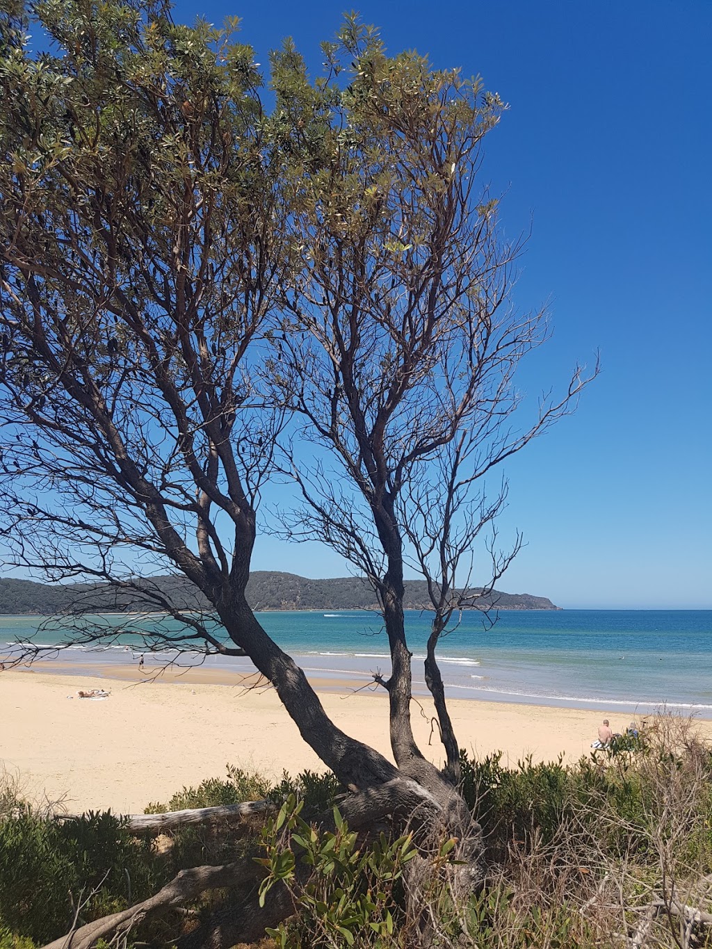 Ocean Beach Surf Life Saving Club |  | 176 The Esplanade, Umina Beach NSW 2257, Australia | 0243442800 OR +61 2 4344 2800