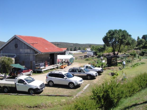 Whistlestop Community Garden, Stanthorpe | Tyrel St, Stanthorpe QLD 4380, Australia | Phone: (07) 4681 2962