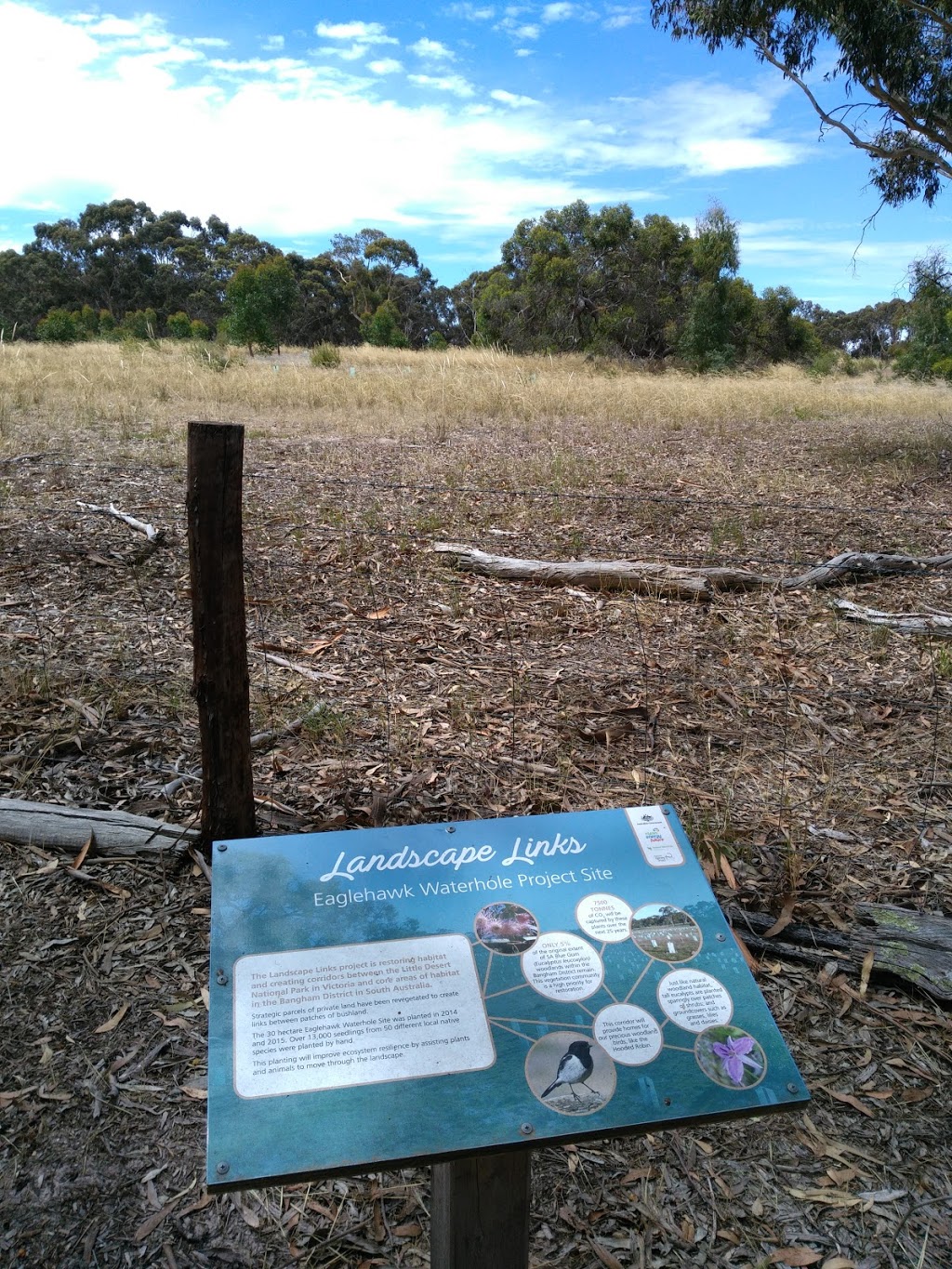 Eaglehawk Waterhole | Frances Rd, Bangham SA 5268, Australia