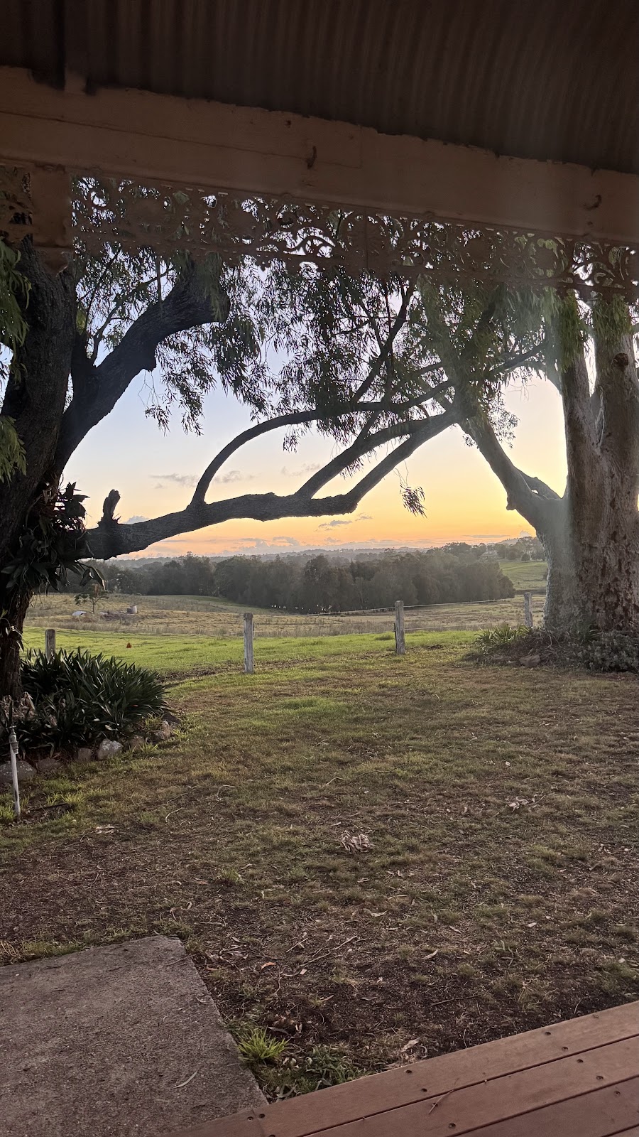 Kalimna Estate | 1155 Tocal Rd, Paterson NSW 2421, Australia | Phone: 0405 505 930