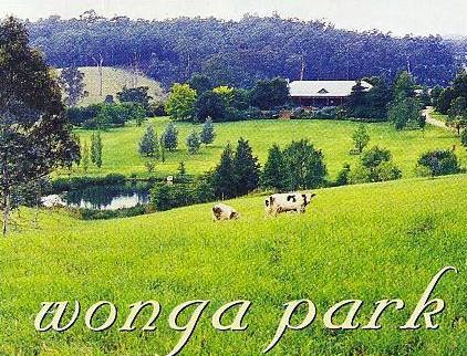 Wonga Park | 209 Wamban Rd, Moruya NSW 2537, Australia | Phone: (02) 4474 4122