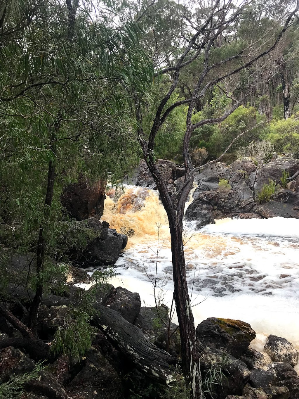 Fernhook Falls DPaW campsite | campground | 34°4905. 116°3538.9"E, National Route 1, North Walpole WA 6398, Australia