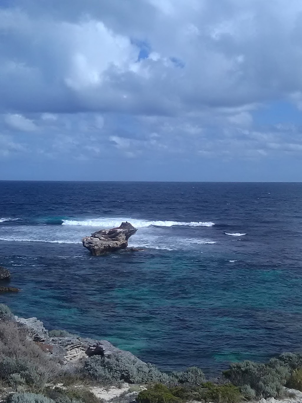 Eastern Osprey Nest | Parker Point Rd, Rottnest Island WA 6161, Australia