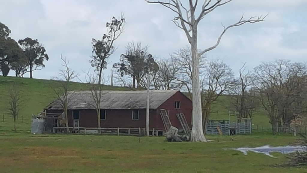 CTLX - Central Tablelands Livestock Exchange |  | National Route 24, Carcoar NSW 2791, Australia | 0263673084 OR +61 2 6367 3084
