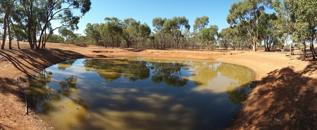 Yathong Nature Reserve | park | Irymple NSW 2835, Australia